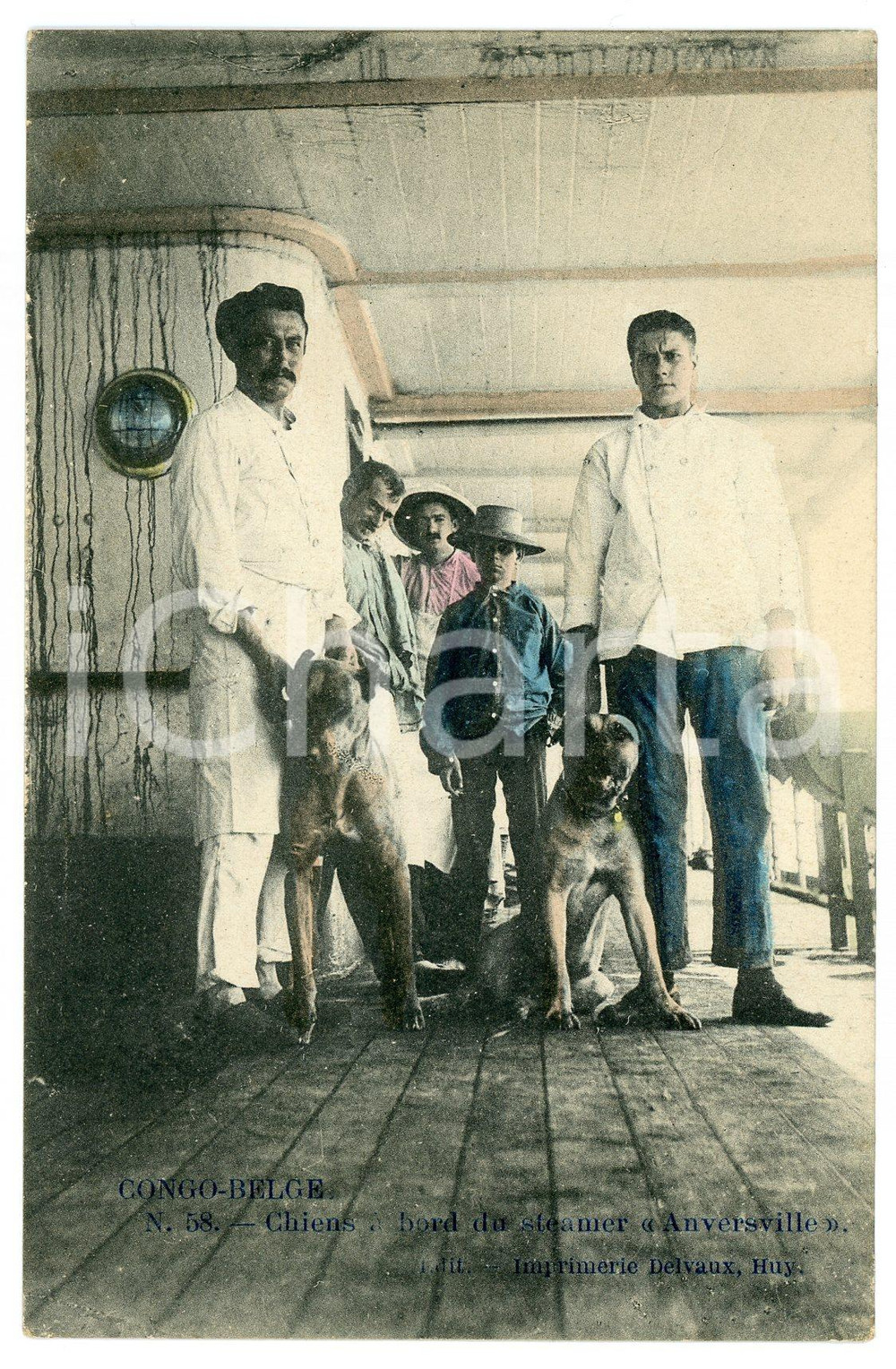 1910 ca CONGO BELGE Chiens a bord du steamer ANVERSVILLE - Vintage Postcard FP  Cartolina postale d'epoca, non viaggiata.CONDIZIONI: FAIRFORMATO: FP    originale e autentica 1