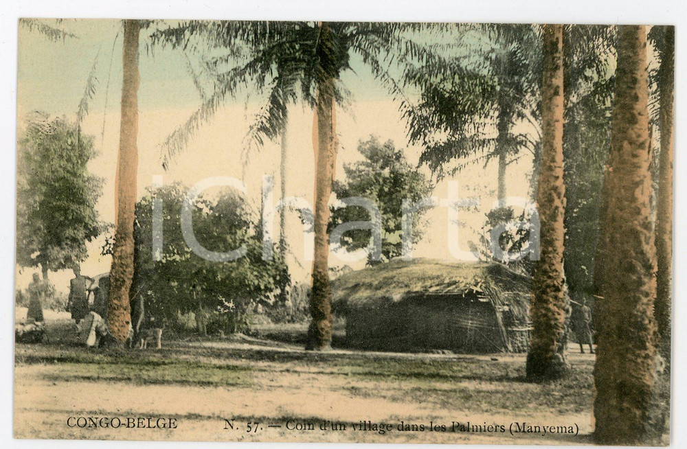 1910 ca CONGO BELGE - MANYEMA Coin d'un village dans les palmiers - Postcard FP  Cartolina postale d'epoca, non viaggiata.CONDIZIONI: FAIRFORMATO: FP    originale e autentica 1
