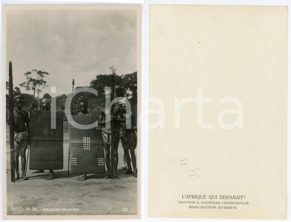 1930 ca C. ZAGOURSKI «L'Afrique qui disparaît» Pr. Or. MANGBETU - Guerriers RPPC  Fotocartolina postale d'epoca, appartenente alla serie &laquo;L'Afrique qui dispara&icirc;t&raquo; del fotografo Casimir Zagourski (L&eacute;opoldville).N&deg; 73.CONDIZIONI: GFORMATO: 9x14 cm    originale e autentica 1