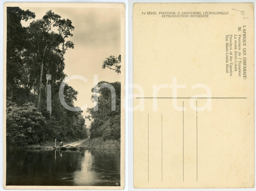 1930 ca ZAGOURSKI «L'Afrique qui disparaît» Route AKETI-LISALA Postcard n.56 (3) Â Fotocartolina postale d'epoca, appartenente alla 2^ serie «L'Afrique qui disparaît»  del fotografo Casimir Zagourski (LÃ©opoldville).N° 56, non viaggiata.FORMATO: 9x14 cm GOOD/buono   originale e autentica 1