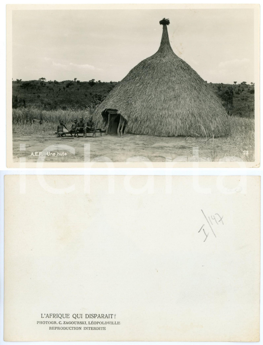 1930 ca C. ZAGOURSKI «L'Afrique qui disparaît»  A.E.F. Une hutte - RPPC  Fotografia seriale d'epoca, appartenente alla serie &laquo;L'Afrique qui dispara&icirc;t&raquo; del fotografo Casimir Zagourski (L&eacute;opoldville).N&deg; 146, non viaggiata.CONDIZIONI: G FORMATO: 14x9 cm    originale e autentica 1