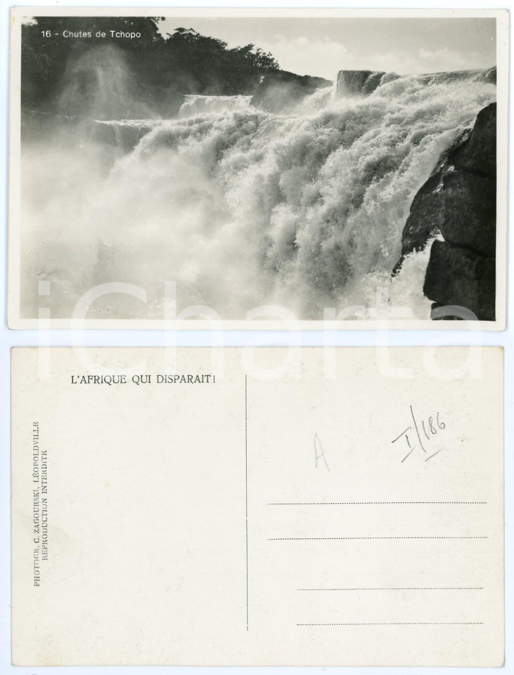 1930 ca C. ZAGOURSKI «L'Afrique qui disparaît» Chute de TCHOPO *Postcard (1)  Fotocartolina postale d'epoca, appartenente alla serie &laquo;L'Afrique qui dispara&icirc;t&raquo; del fotografo Casimir Zagourski (L&eacute;opoldville).N&deg; 184, non viaggiata.CONDIZIONI: G FORMATO: 14x9 cm    originale e autentica 1