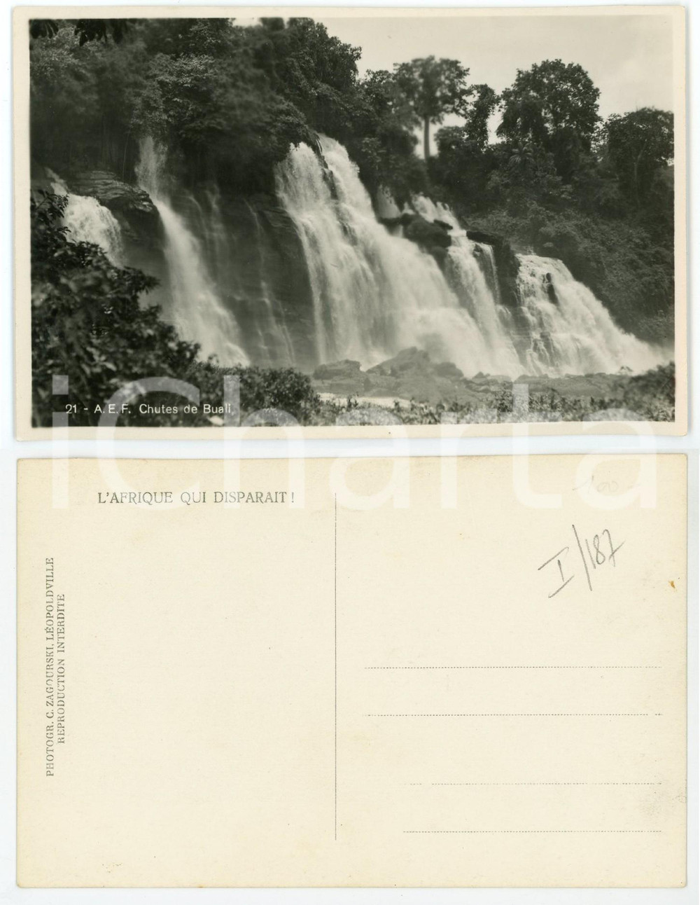 Cartolina originale da collezione 1930 C. ZAGOURSKI Â«L Afrique qui disparaÃ®tÂ» AEF Chutes de BUALI Postcard n.187 1