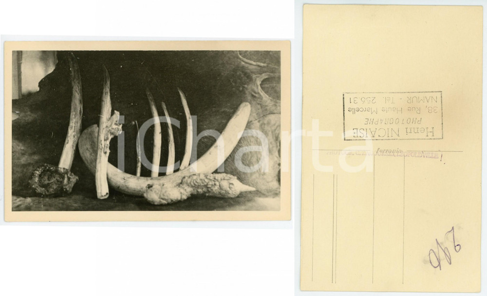 1930 C. ZAGOURSKI «L'Afrique qui disparaît» KENIA Maladies et curiosités n.200  Fotocartolina postale d'epoca, appartenente alla 2^ serie «L'Afrique qui disparaît» del fotografo Casimir Zagourski (Léopoldville).N°200, non viaggiata.  GOOD/buono  FORMATO: 14x9 cm originale e autentica 1