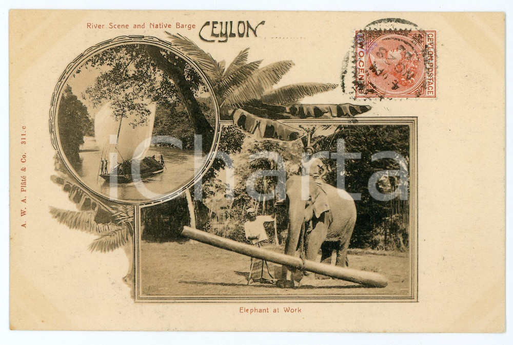 1903 CEYLON - SRI LANKA Native barge - Elephant at work - Vintage Postcard FP VG Cartolina postale d'epoca, viaggiata. CONDIZIONI: FAIRFORMATO: FP    originale e autentica 1