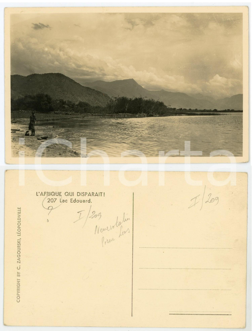 1930 ca C. ZAGOURSKI «L'Afrique qui disparaît» Lac EDOUARD - Postcard n°207  Fotocartolina postale d'epoca, appartenente alla serie &laquo;L'Afrique qui dispara&icirc;t&raquo; del fotografo Casimir Zagourski (L&eacute;opoldville).N&deg; 207, non viaggiata.CONDIZIONI: GFORMATO: 14x9 cm     originale e autentica 1