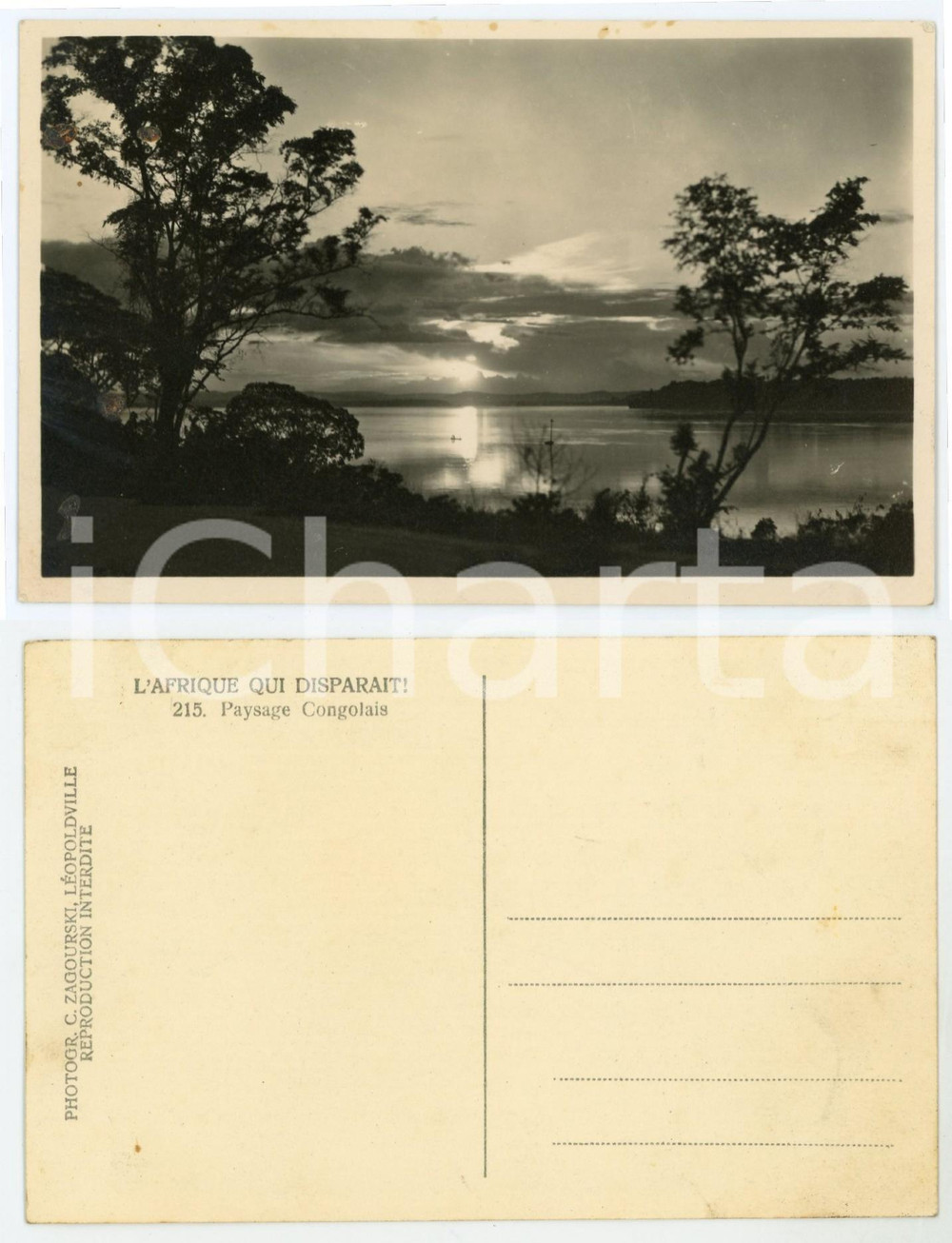1930 C. ZAGOURSKI «L'Afrique qui disparaît» Paysage congolais - Postcard n.215  Fotocartolina postale d'epoca, appartenente alla serie &laquo;L'Afrique qui dispara&icirc;t&raquo; del fotografo Casimir Zagourski (L&eacute;opoldville).N&deg;215. non viaggiata.CONDIZIONI: FAIR FORMATO: 14x9 cm    originale e autentica 1