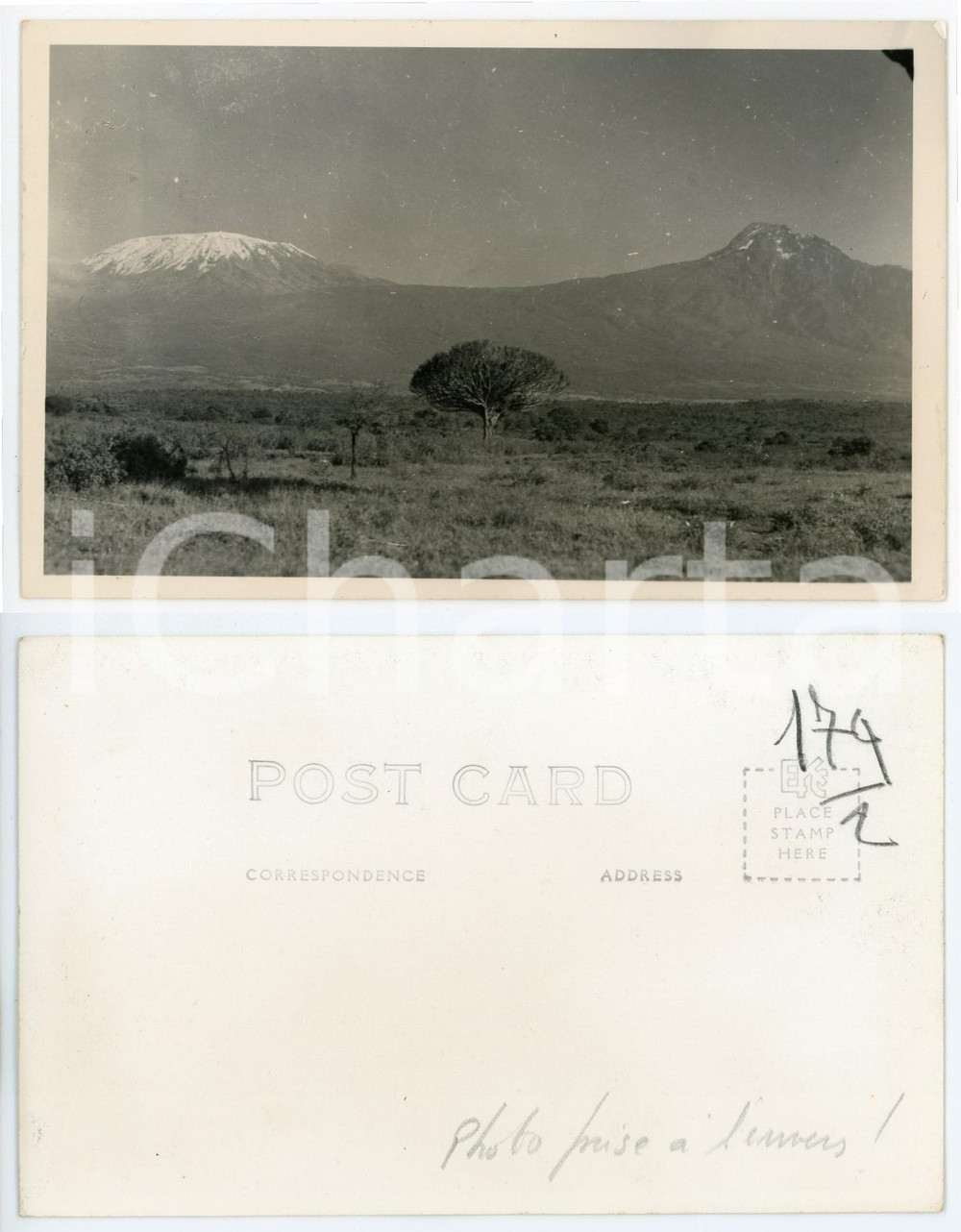 1930 C. ZAGOURSKI «L'Afrique qui disparaît» KENIA Kilimandjaro, vue du Nord *174  Fotocartolina postale d'epoca, appartenente alla 2^serie &laquo;L'Afrique qui dispara&icirc;t&raquo; del fotografo Casimir Zagourski (L&eacute;opoldville).N&deg;174, non viaggiata.CONDIZIONI: FAIR (lievi ondulature)FORMATO: 14x9 cm     originale e autentica 1