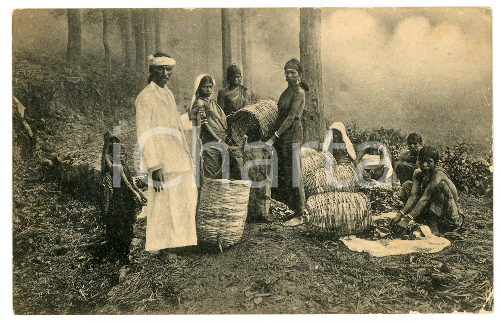 1910 CEYLON - SRI LANKA Workers in the forest - Vintage Postcard FP NV Cartolina postale d'epoca, non viaggiata. CONDIZIONI: FAIRFORMATO: FP    originale e autentica 1