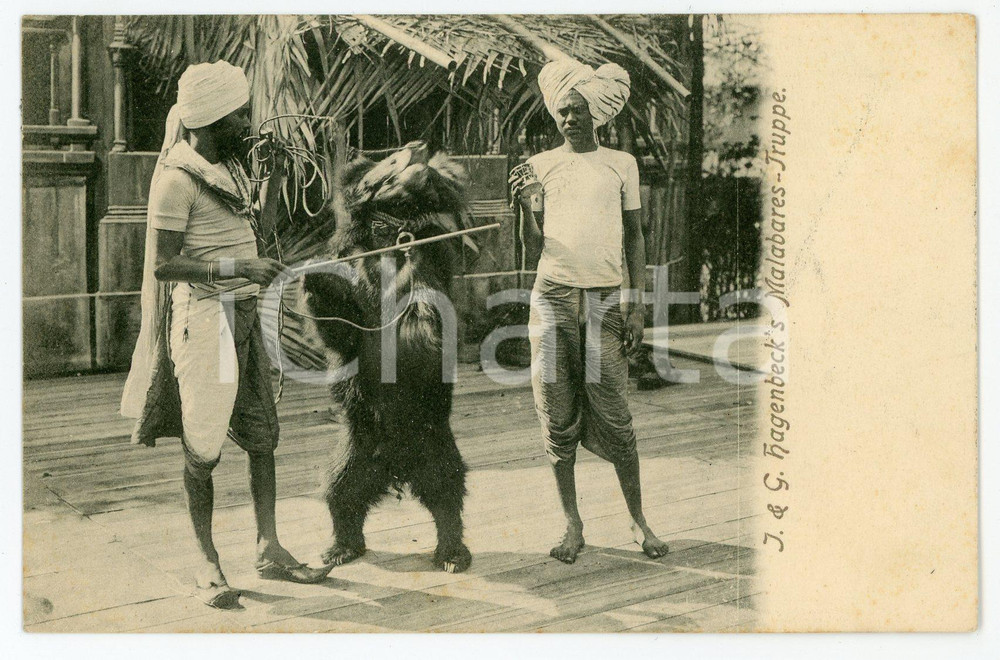 1900 ca HAMBURG Tierpark Hagenbeck - Malabares Truppe - Vintage Postcard FP NV Cartolina postale d'epoca, non viaggiata. CONDIZIONI: FAIRFORMATO: FP    originale e autentica 1