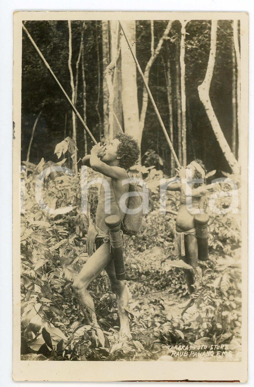 1930 RAUB - PAHANG (MALAYSIA) Indigenous hunting - Vintage Postcard FP NV Cartolina postale d'epoca, non viaggiata ma con nota manoscritta al verso.CONDIZIONI: FAIRFORMATO: FP    originale e autentica 1