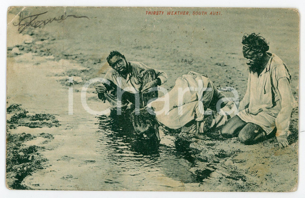 1909 SOUTH AUSTRALIA Thirsty weather - DAMAGED original old postcard Cartolina postale d'epoca, viaggiata (ma francobollo asportato).CONDIZIONI: VERY POOR (piegature e ingiallimenti vari; macchie al verso)FORMATO: FP    originale e autentica 1