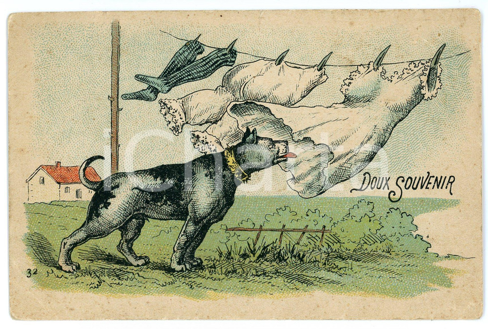 1900 ca FRANCE Doux souvenir - Chien avec lingerie de femme - Carte postale  Cartolina postale d'epoca, illustrata, non viaggiata.CONDIZIONI: FAIR (lievi fioriture e piegatura angolare)FORMATO: FP    originale e autentica 1