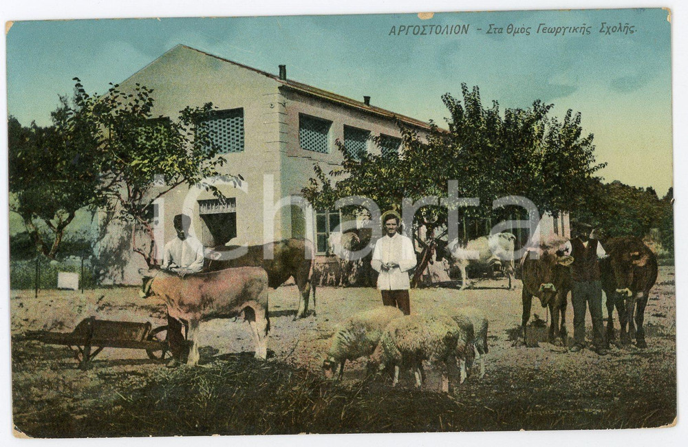 1920 ca CEFALONIA - ARGOSTOLI Scuola agraria - Fattoria - Cartolina FP NV Cartolina d'epoca, non viaggiata ma con appunto manoscritto al verso. FAIR/discreto Smussature agli angoli e piccole abrasioni ai margini Formato: 13x9  cm originale e autentica 1