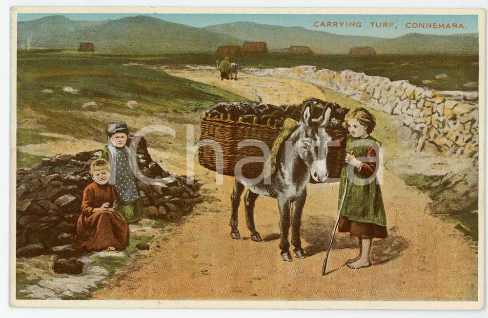 1920 ca CONNEMARA (IRELAND) Children carrying turf with a donkey - Postcard FP  Cartolina postale d'epoca, non viaggiata. GOOD/buono  Formato: FP originale e autentica 1