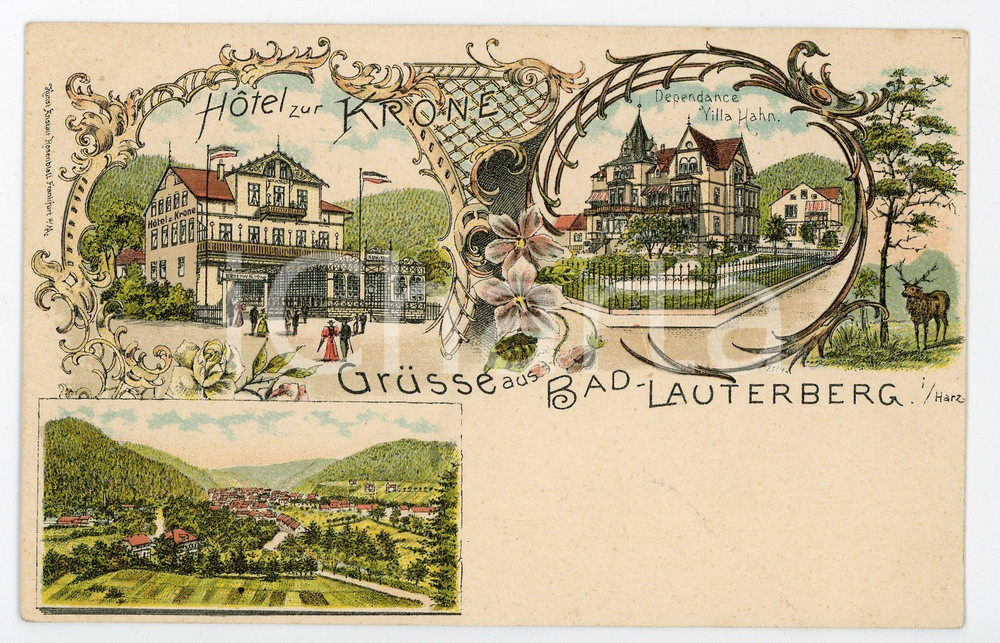 1900 ca BAD LAUTERBERG IM HARZ Hotel zur Krone - Villa Hahn ILLUSTRATED Postcard  Cartolina postale d'epoca, non  viaggiata. FAIR/discreto Lievi smussature agli angoli Formato: FP originale e autentica 1