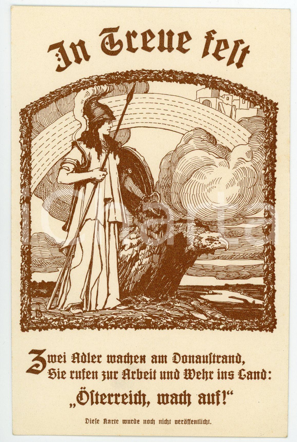 1920 ca OSTERREICH in treue fest - 3 wei adler machen am DONAUSTRAND Postcard Cartolina d'epoca, viaggiata. FAIR/discreto Smussature agli angoli Formato: 9x14 originale e autentica 1