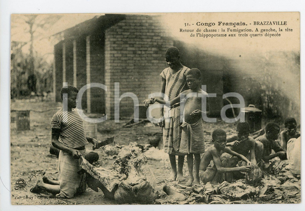 1910 ca BRAZZAVILLE (CONGO Français) Chasse - Fumigation tête d'hippopotame  Cartolina postale d'epoca, scritta ma non viaggiata.CONDIZIONI: GFORMATO: FP    originale e autentica 1
