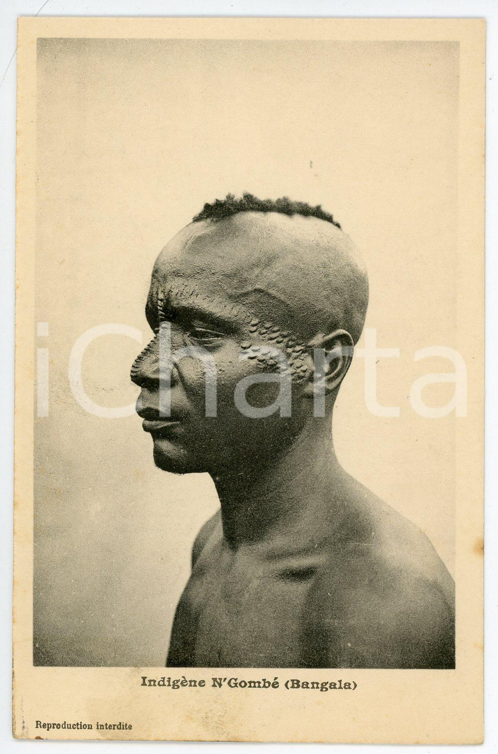 1920 ca CONGO BELGE Indigène N'GOMBE' (BANGALA) Carte postale scarification  Cartolina postale d'epoca, non viaggiata.CONDIZIONI: G FORMATO: FP    originale e autentica 1