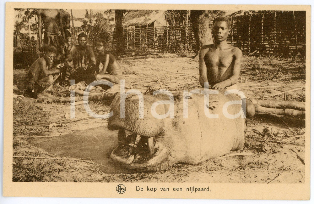 1920 ca COSTUMI CONGO BELGA Indigeno con testa di ippopotamo - Cartolina FP NV  Cartolina postale d'epoca, non viaggiata.CONDIZIONI: GFORMATO: FP    originale e autentica 1