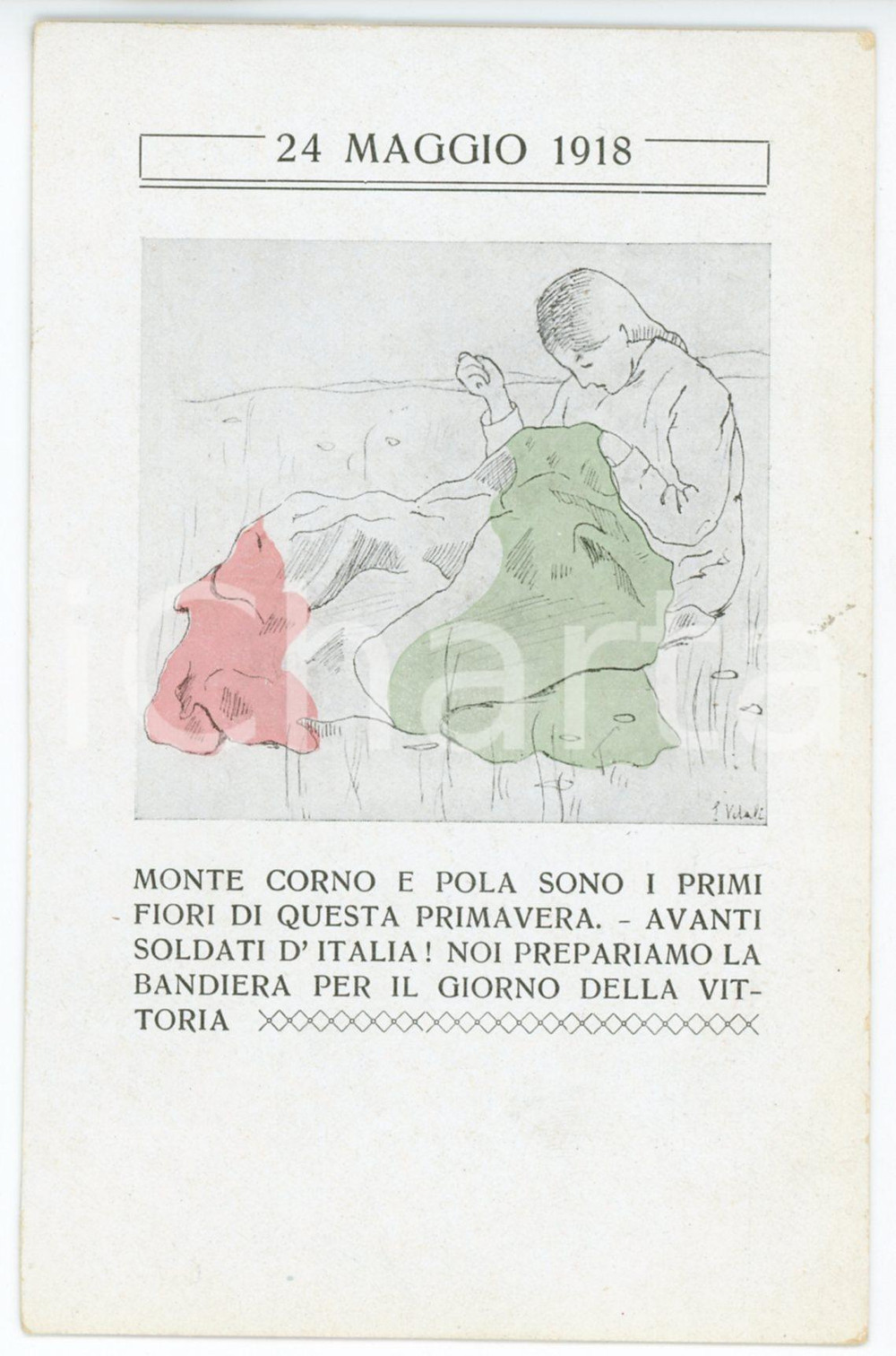 1918 WW1 - BOLOGNA Alleanza Femminile - POLA E MONTE CORNO - Cartolina  Cartolina postale d'epoca, non viaggiata.ILLUSTRATORE: Vidali FAIR/discreto Lievi smussature agli angoli Formato: FP originale e autentica 1