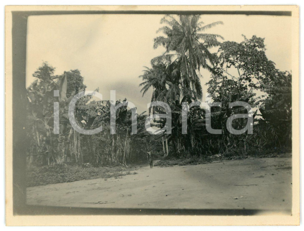 1930 ca CONGO BELGE African men near the forest - Photo 12x9 cm Fotografia d'epoca. FAIR/discreto Lievi smussature agli angoli Formato: 12x9 originale e autentica 1