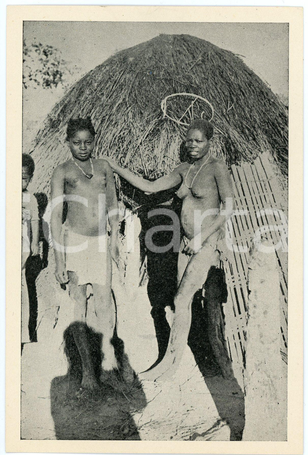 1950 ca CONGO - MUSELA Région de SAMPWE - NU ETHNIQUE *Carte postale FG NV  Cartolina postale d'epoca, non viaggiata. Photo Lammeretz GOOD/buono  Formato: 10x15 cm originale e autentica 1