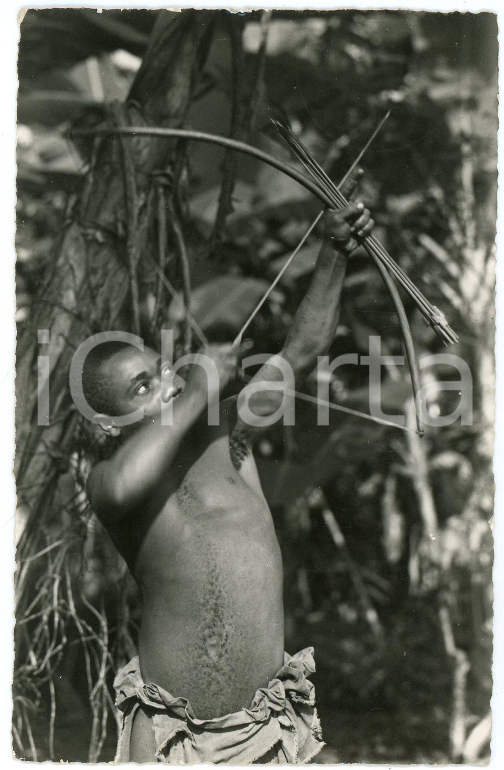 1946 CONGO BELGE PygmÃ©e Ã  la chasse - Carte postale FP VG  Cartolina postale d'epoca, viaggiata.EDITORE: Photo-Home, LeopoldvilleCONDIZIONI: FAIRFORMATO: FP    originale e autentica 1