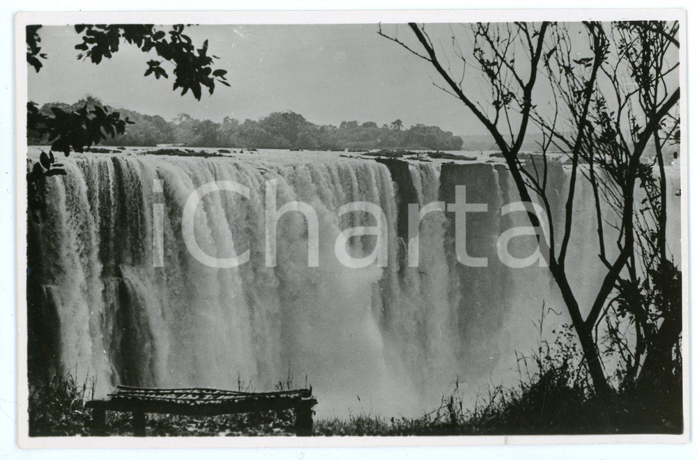 1920ca AFRICA - VICTORIA FALLS Main falls from the Rain Forest - Postcard FP NV  Cartolina postale d'epoca, non viaggiata.CONDIZIONI: FAIR FORMATO: FP    originale e autentica 1