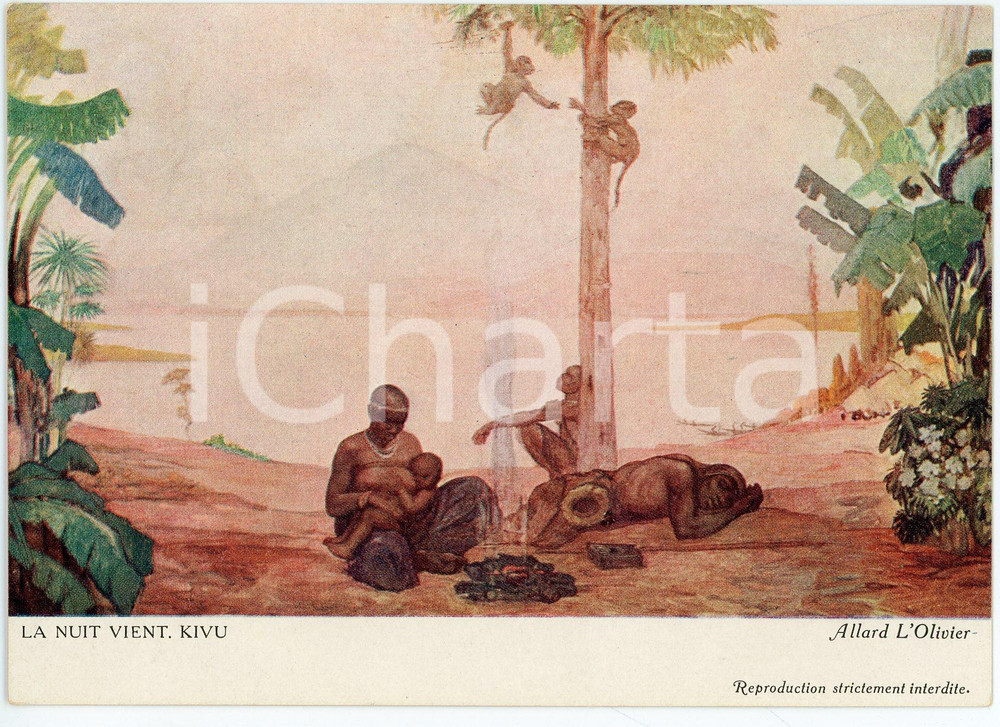 1931 CONGO BELGE Fernand ALLARD L'OLIVIER La nuit vient KIVU - Postcard FG NV Cartolina d'epoca, non viaggiata. FAIR/discreto Lievi smussature agli angoli Formato: FG originale e autentica 1