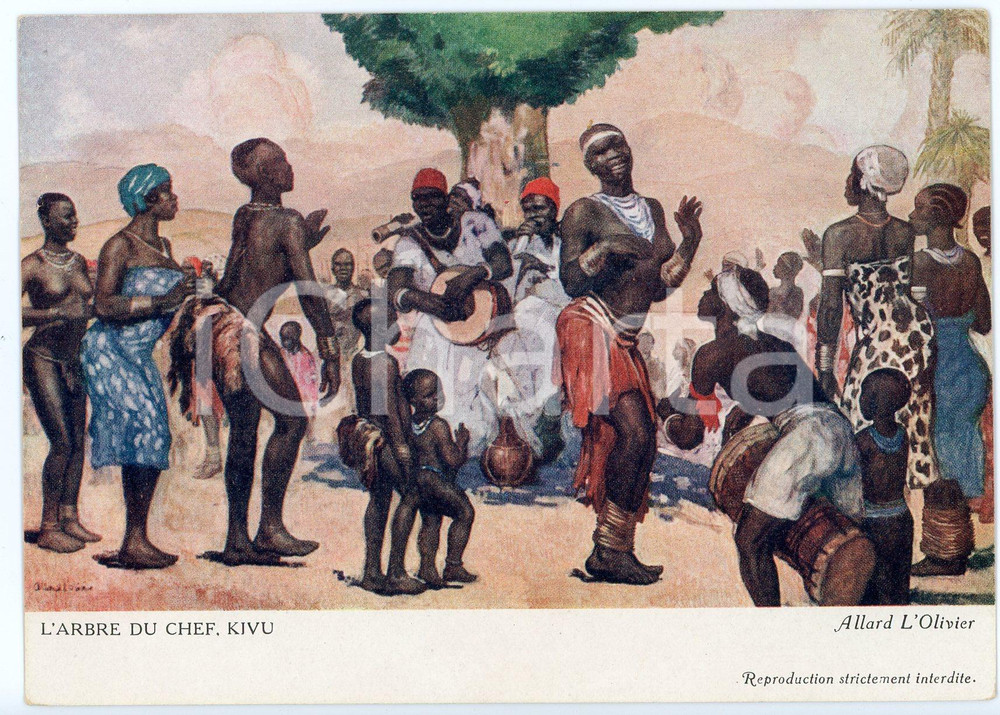 Cartolina originale da collezione 1931 CONGO BELGE Fernand ALLARD L OLIVIER L arbre du Chef KIVU  Postcard FG NV 1