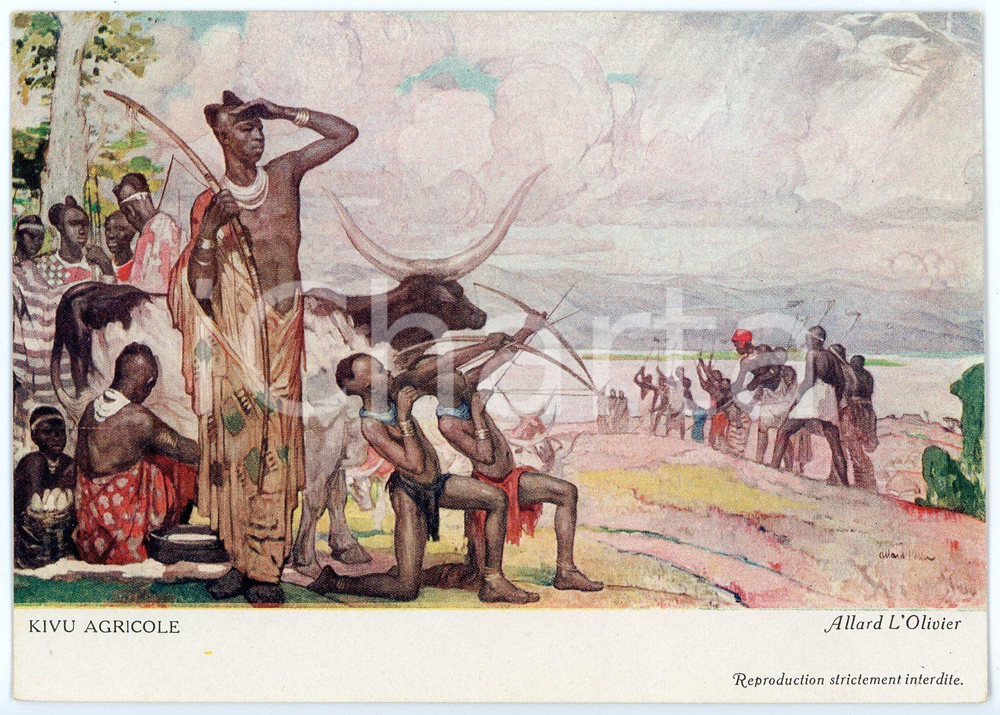 1931 CONGO BELGE Fernand ALLARD L'OLIVIER Kivu agricole - Postcard FG NV Cartolina d'epoca, non viaggiata. FAIR/discreto Lievi smussature agli angoli Formato: FG originale e autentica 1