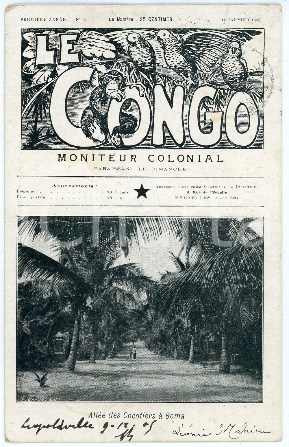 1908 LE CONGO Moniteur Colonial - AllÃ©e des Cocotiers Ã  BOMA Postcard DAMAGED Cartolina postale d'epoca, viaggiata.CONDIZIONI: VERY POOR (profonda piegatura orizzontale, smussature agli angoli)FORMATO: FP     originale e autentica 1