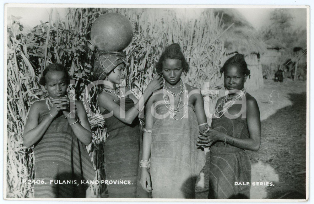 1920 ca AFRIQUE -KANO PROVINCE Femmes Fulanis - Carte postale DALE SERIES  Cartolina postale d'epoca, non viaggiata.CONDIZIONI: FAIRFORMATO: FP    originale e autentica 1
