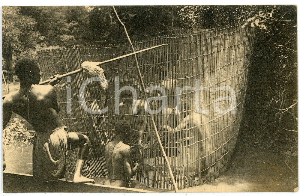 1930 ca AFRIQUE - CONGO BELGE Mosengere à la peche - Carte postale FP NV  Cartolina postale d'epoca, non viaggiata.CONDIZIONI: FAIR (lieve piegatura all'angolo inferiore destro)FORMATO: FP    originale e autentica 1
