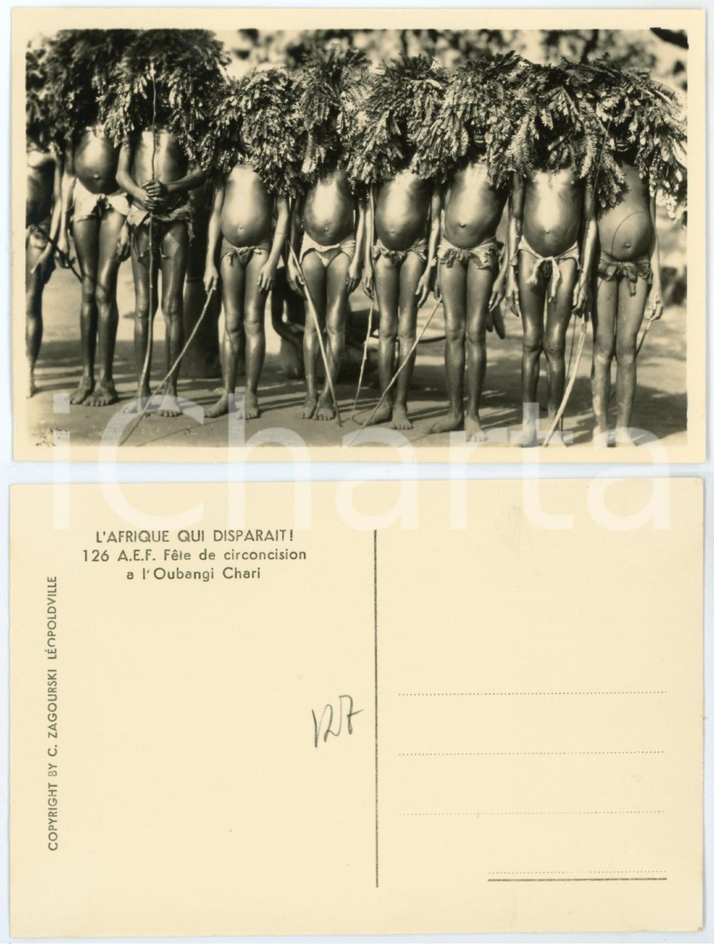 1930 ca C. ZAGOURSKI «L'Afrique qui disparaît» Fête circoncision - OUBANGI CHARI  Fotocartolina postale d'epoca, appartenente alla serie &laquo;L'Afrique qui dispara&icirc;t&raquo; del fotografo Casimir Zagourski (L&eacute;opoldville).N&deg; 126, non viaggiata.CONDIZIONI: G FORMATO: 14x9 cm    originale e autentica 1