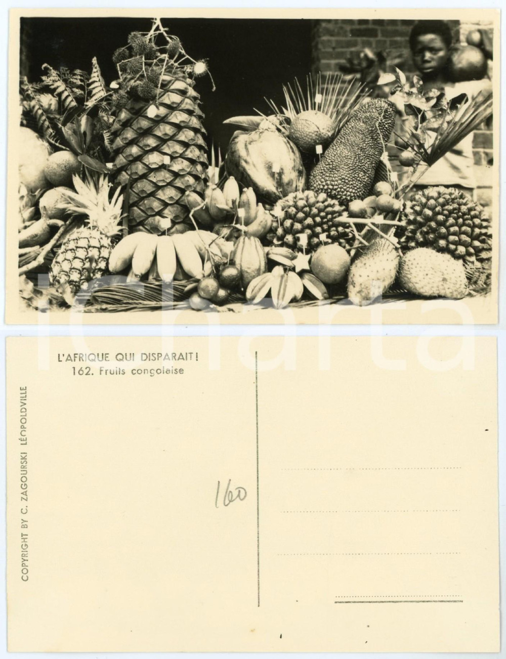 1930 ca C. ZAGOURSKI Â«L'Afrique qui disparaÃ®tÂ»  Fruits congolaise - nÂ° 162  Fotocartolina postale d'epoca, appartenente alla serie &laquo;L'Afrique qui dispara&icirc;t&raquo; del fotografo Casimir Zagourski (L&eacute;opoldville).N&deg; 1621, non viaggiata.CONDIZIONI: GFORMATO: 14x9 cm     originale e autentica 1