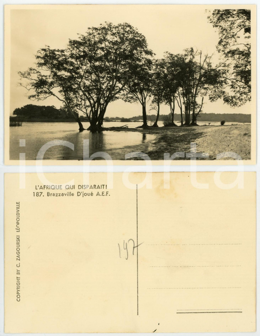 1930 ca C. ZAGOURSKI «L'Afrique qui disparaît» BRAZZAVILLE D'joué A.E.F.  Fotocartolina postale d'epoca, appartenente alla serie &laquo;L'Afrique qui dispara&icirc;t&raquo; del fotografo Casimir Zagourski (L&eacute;opoldville).N&deg;187, non viaggiata.CONDIZIONI: GFORMATO: 14x9 cm    originale e autentica 1