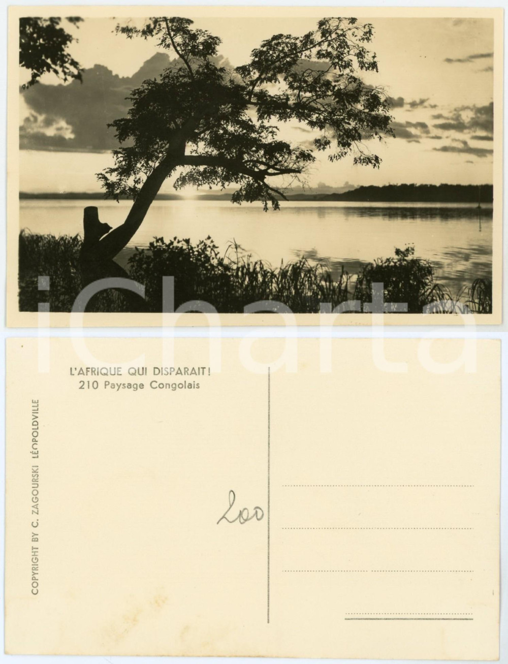 1930 ca C. ZAGOURSKI «L'Afrique qui disparaît» Paysage Congolais - Postcard 210  Fotocartolina postale d'epoca, appartenente alla serie &laquo;L'Afrique qui dispara&icirc;t&raquo; del fotografo Casimir Zagourski (L&eacute;opoldville).N&deg; 210, non viaggiata.CONDIZIONI: GFORMATO: 14x9 cm    originale e autentica 1