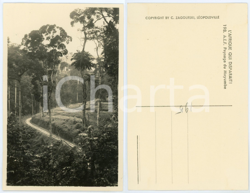 1930 ca C. ZAGOURSKI «L'Afrique qui disparaît» A.E.F. - Paysage du MAYUMBE  Fotocartolina postale d'epoca, appartenente alla serie &laquo;L'Afrique qui dispara&icirc;t&raquo; del fotografo Casimir Zagourski (L&eacute;opoldville).N&deg;198, non viaggiata.CONDIZIONI: GFORMATO: 9x14 cm    originale e autentica 1