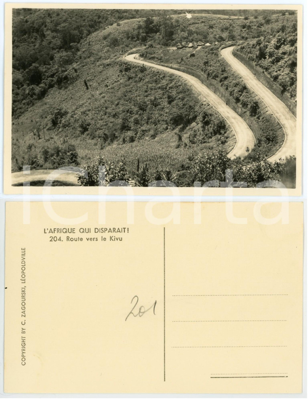 1930 ca C. ZAGOURSKI «L'Afrique qui disparaît» Route vers le KIVU - Postcard 204  Fotocartolina postale d'epoca, appartenente alla serie &laquo;L'Afrique qui dispara&icirc;t&raquo; del fotografo Casimir Zagourski (L&eacute;opoldville).N&deg; 204, non viaggiata.CONDIZIONI: GFORMATO: 14x9 cm    originale e autentica 1