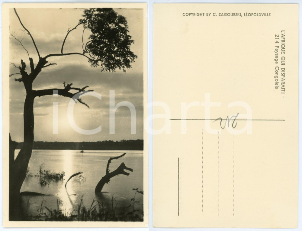 1930 ca C. ZAGOURSKI Â«L'Afrique qui disparaÃ®tÂ» Paysage Congolais - Postcard 214  Fotocartolina postale d'epoca, appartenente alla serie &laquo;L'Afrique qui dispara&icirc;t&raquo; del fotografo Casimir Zagourski (L&eacute;opoldville).N&deg; 214, non viaggiata.CONDIZIONI: GFORMATO: 9x14 cm    originale e autentica 1