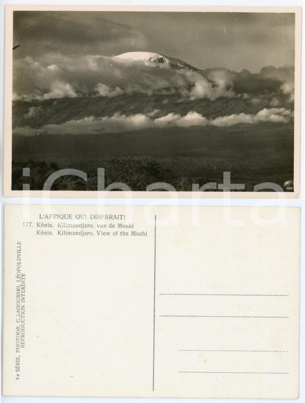 1930 C. ZAGOURSKI «L'Afrique qui disparaît» KENIA Kilimandjaro, vue de Moshi 177  Fotocartolina postale d'epoca, appartenente alla 2^serie &laquo;L'Afrique qui dispara&icirc;t&raquo; del fotografo Casimir Zagourski (L&eacute;opoldville).N&deg;177, non viaggiata.CONDIZIONI: GFORMATO: 14x9 cm     originale e autentica 1