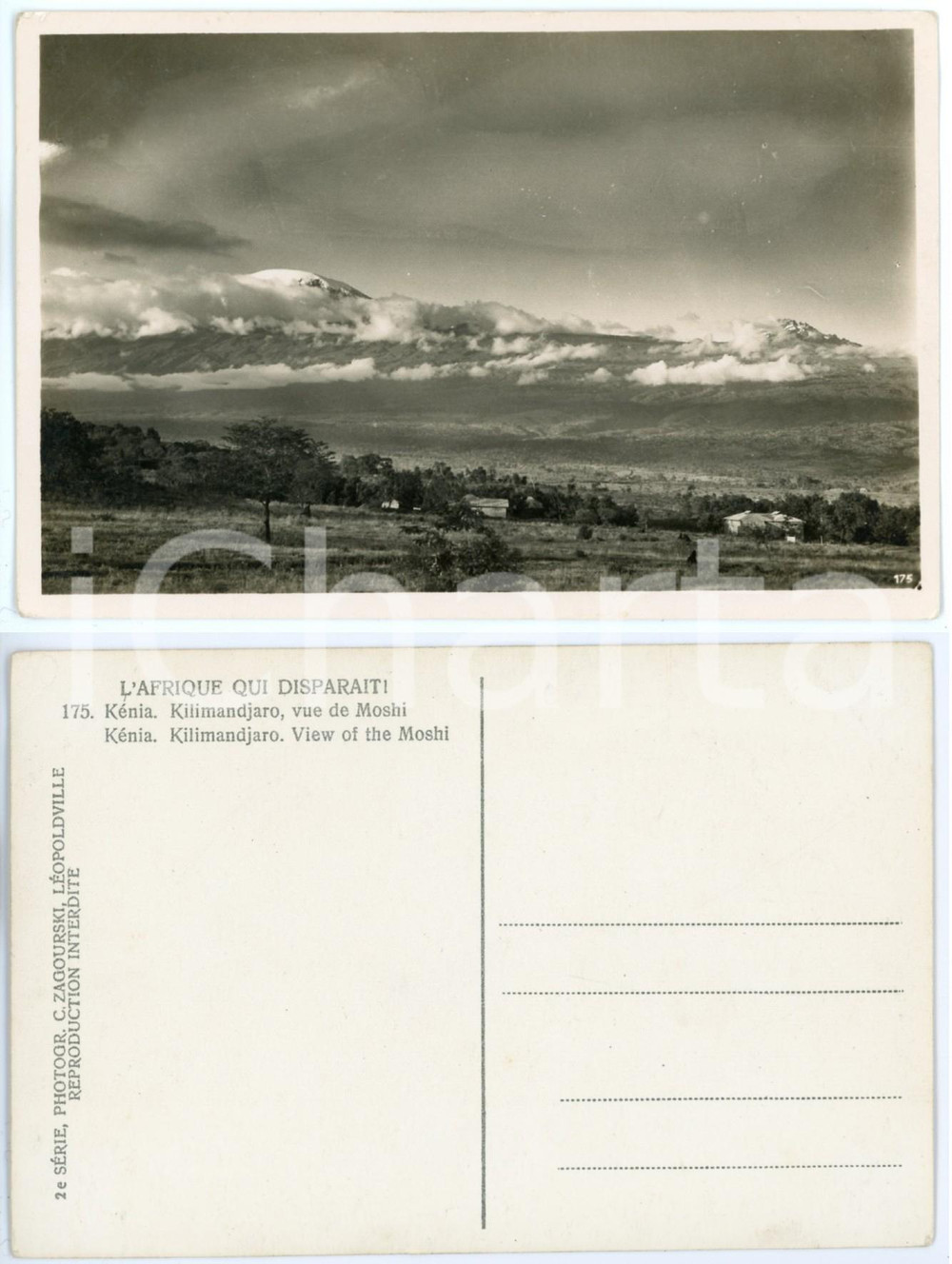 1930 C. ZAGOURSKI «L'Afrique qui disparaît» KENIA Kilimandjaro vue de Moshi *175  Fotocartolina postale d'epoca, appartenente alla 2^serie &laquo;L'Afrique qui dispara&icirc;t&raquo; del fotografo Casimir Zagourski (L&eacute;opoldville).N&deg;175, non viaggiata.CONDIZIONI: FAIR (minima piegatura angolare e sbrecciatura al lato superiore)FORMATO: 14x9 cm    originale e autentica 1