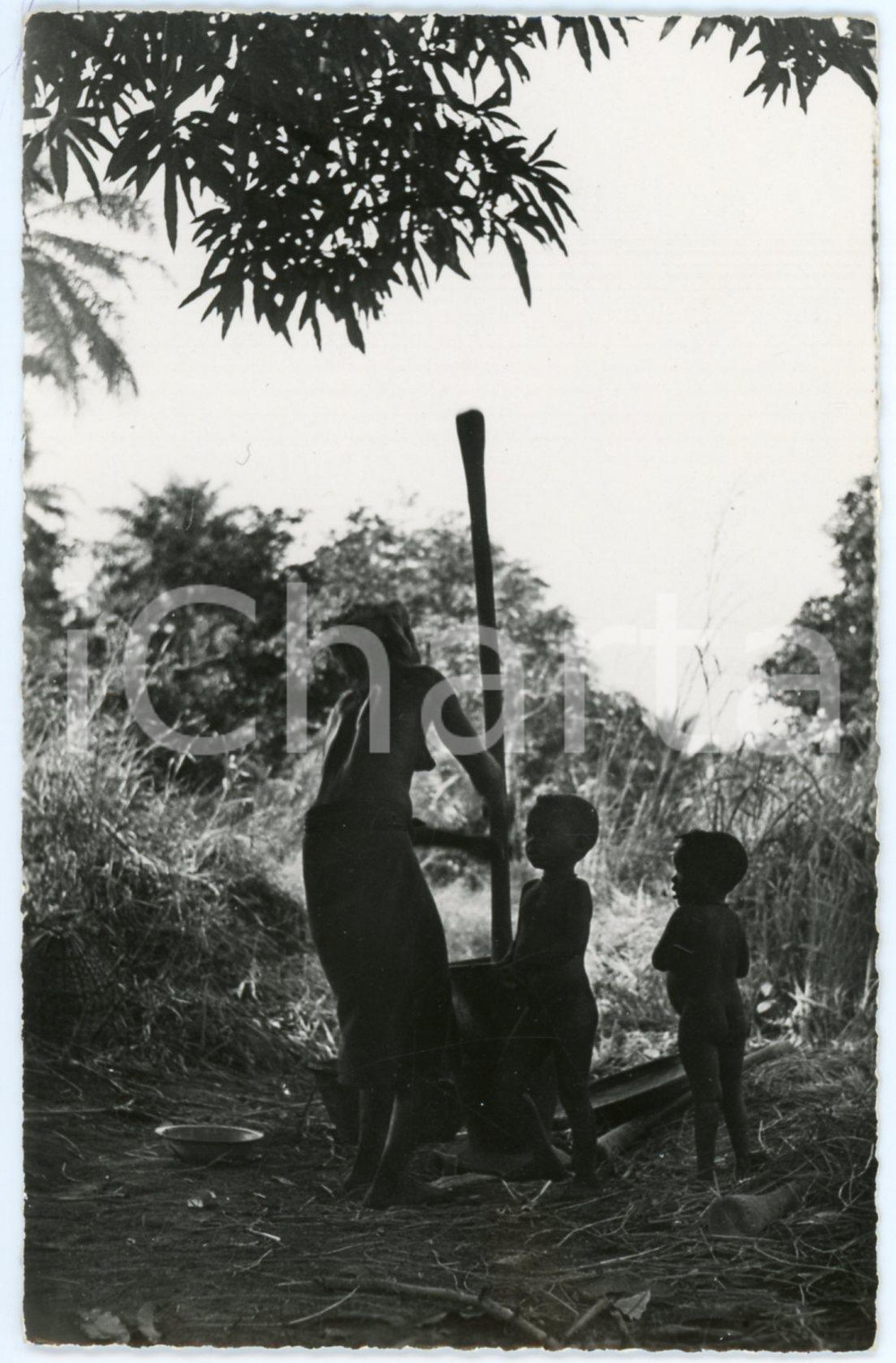 1960 ca AFRIQUE NOIRE Femme pilant le mil - Photo postcard ed. HOA-QUI Fotografia seriale d'epoca, in formato cartolina postale, non viaggiata.CONDIZIONI: G FORMATO: 9x14 cmEDITORE: Hoa-Qui, Paris    originale e autentica 1