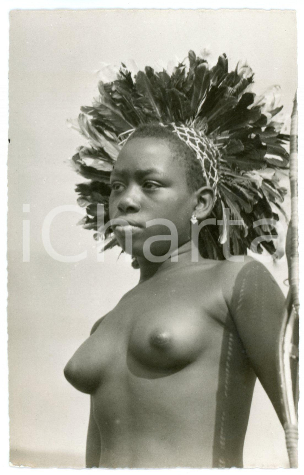 1958 EXPO BRUXELLES - CONGO BELGE - Jeune fille *Photo postcard EHTNIC NUDE (1) Fotografia seriale d'epoca, in formato cartolina postale, non viaggiata.CONDIZIONI: GFORMATO: 9x14 cmFOTOGRAFO : Photo-Home - L&eacute;opoldville    originale e autentica 1