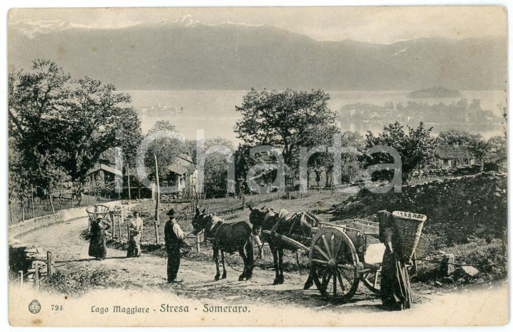 1900 ca STRESA - SOMERARO Contadini guardano il Lago Maggiore - Cartolina FP NV  Cartolina postale d'epoca, non viaggiata. POOR/danneggiato Lievi smussature agli angoli, profonda piegatura all'angolo inferiore destro Formato: FP originale e autentica 1