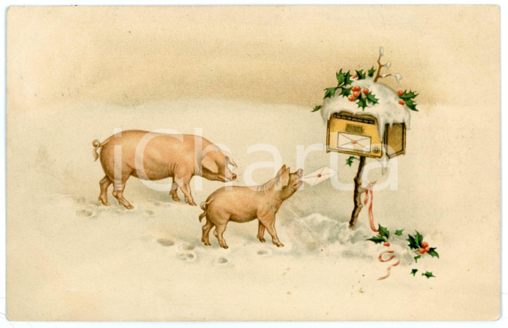 1909 CHRISTMAS Pigs posting a letter in a mailbox - Vintage postcard  Cartolina postale d'epoca, non viaggiata.CONDIZIONI: FAIR (piegatura al lato superiore)FORMATO: FP    originale e autentica 1