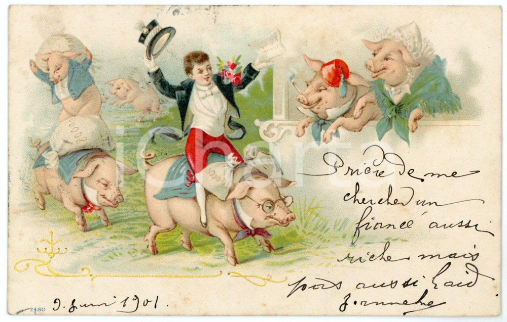 1901 HUMOUR Lucky pigs running with money bags - Vintage postcard Cartolina postale d'epoca, viaggiata.CONDIZIONI: GFORMATO: FP    originale e autentica 1