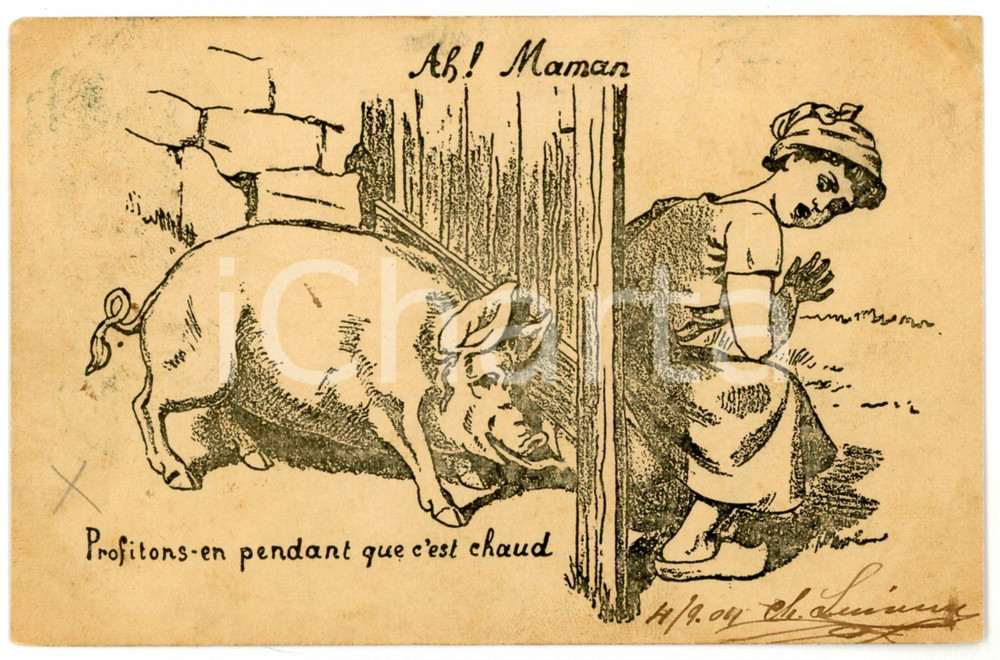 1904 HUMOUR Profitons-en pendant que c'est chaud - Woman and pig - Postcard  Cartolina postale d'epoca, viaggiata.CONDIZIONI: F (piegatura all'angolo destro)FORMATO: FP    originale e autentica 1